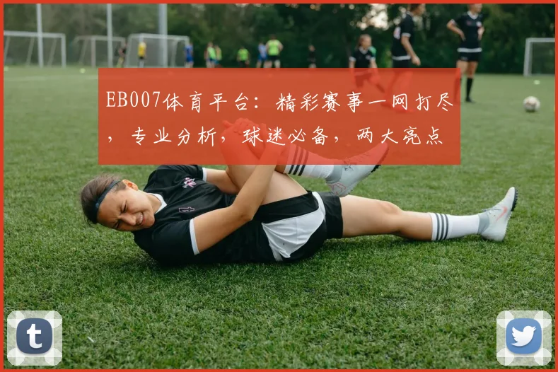 EB007体育平台：精彩赛事一网打尽，专业分析，球迷必备，两大亮点不容错过